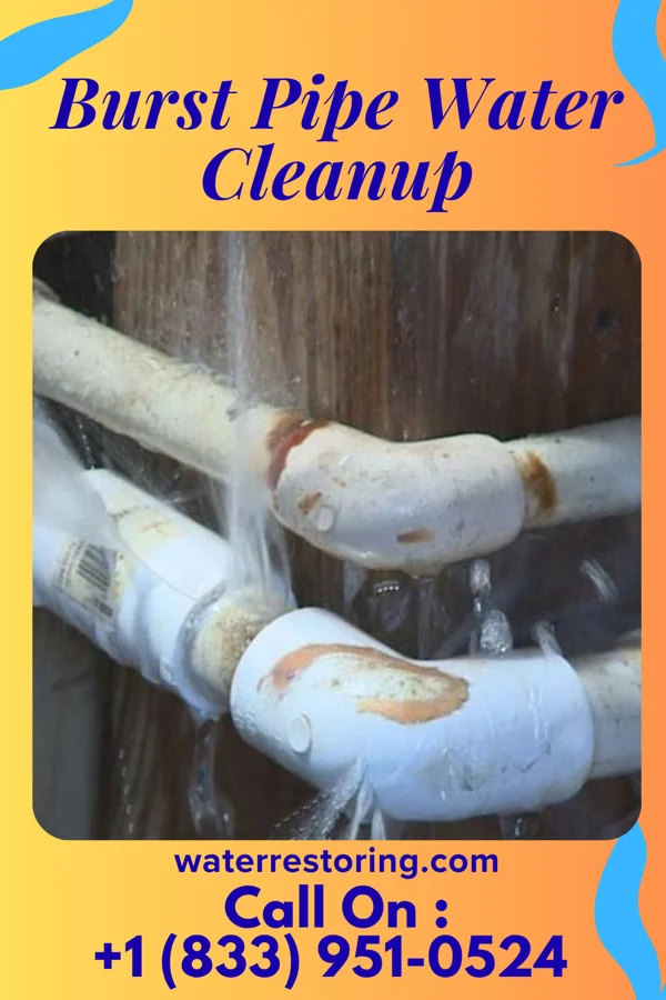 Burst Pipe Water Cleanup in Spencer, WI