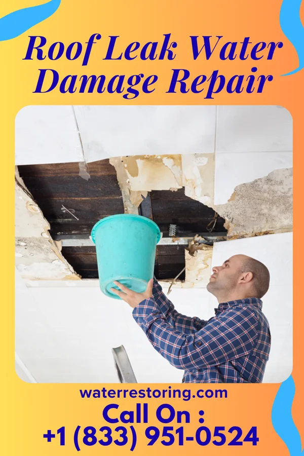 Roof Leak Water Damage Repair in Spencer, WI
