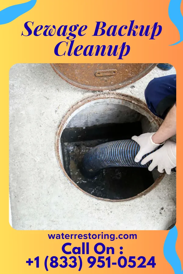 Sewage Backup Cleanup in Spencer, WI