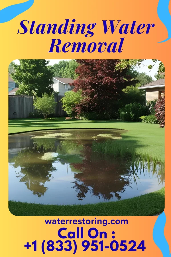 Standing Water Removal in Spencer, WI